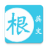 icon 2019.06a