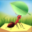 icon My Ant Farm(My Ant Farm
) 0.59