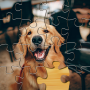 icon JigsawGo(Jigsaw Go - Puzzle
)