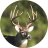 icon Whitetail Deer Calls(Chiamate dei cervi di Whitetail) 5.2.0