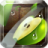 icon Fruit Slice(Fetta di frutta) 1.4.5