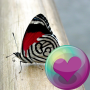 icon Pretty Butterflies HD Wallpapers(Sfondi HD di farfalle)