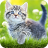 icon 7Fon Cats(Cat Wallpapers Cute Kittens) 5.7.91