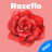 icon RoseFlo Period Tracker(RoseFlo Monitoraggio del ciclo) 1.0.8