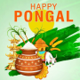 icon Happy Pongal Greetings (Happy Pongal Greetings
)