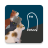 icon Cats Who Stare At Ghosts(che fissano i fantasmi) 1.1.10