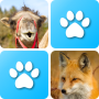 icon Pairs Animals(Coppie: Animali)