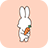 icon Bunny and Carrot(Cute Wallpaper Bunny and Carrot Theme
) 1.0.0