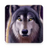 icon Golden Wolf(Golden Wolf Talgaev in versione originale
) 1.0