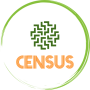 icon Census(National Census
)