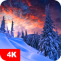 icon 7Fon Winter(invernali 4K 4K)