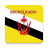 icon Brunei Radio(Stazioni radio Brunei) 6.0.0