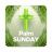 icon Palm Sunday Wishes(Domenica delle Palme Auguri) 2.69.1