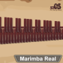 icon Marimba, Xylophone, Vibraphone Real(Marimba, Xilofono, Vibrafono)
