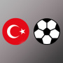 icon com.berkekocaman13.tslsimulasyon(Simulazione della Super League turca)