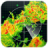 icon Weather(Previsioni meteo locali) 16.6.0.6365_50199