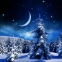 icon Winter Night Wallpaper (Carta da parati Winter Night)