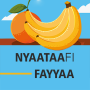 icon Nyaataafi Fayyaa(Dieta e salute - Suggerimento per la salute)