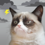 icon Grumpy Cat Weather (Tempo di gatto scontroso)