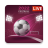 icon World Cup 2022 Live TV(2022 TV in diretta TV) 1.0.0