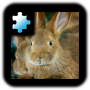 icon Rabbit(Jigsaw Puzzle: coniglio)