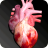 icon Circulatory System in 3D Anatomy(Circulatory System 3D Anatomy Dental) 1.85