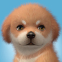 icon Solitaire(Solitaire Dog - Card Gioco)