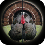 icon Turkey Hunting Calls (Chiamate di caccia alla Turchia)