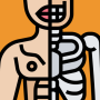 icon Anatomania - Anatomy Quiz