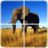 icon Animal Puzzle(Puzzle animale) 1.3.7