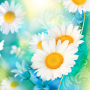 icon Daisies Live Wallpaper(Margherite Live Wallpaper)