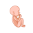 icon Pregnant Run 3D(Pregnant Run 3D ?
) 0.6