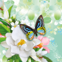 icon Butterflies Live Wallpaper(Farfalle Live Wallpaper)