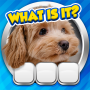 icon Guess it! Zoom Pic Trivia Game (Indovina! Gioco a quiz Zoom Pic)