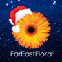 icon Far East Flora(FarEastFlora)