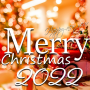 icon Merry Christmas Wishes(Merry Christmas Greeting
)