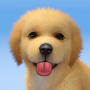 icon My Dog(My Dog: Puppy Simulator Games)