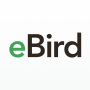 icon eBird by Cornell Lab (eBird di Cornell Lab)