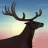 icon RunningDeer(Running Deer Adventure - Endle) 1.0