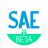 icon SAE Representante BETA0.1