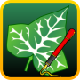 icon Ivy Draw(Ivy Draw: disegno vettoriale)