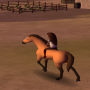 icon Horse Riding Free(Horse Riding)