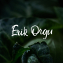 icon Erik Orgu(Erik Orgo)