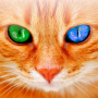 icon Translator for Cats Prank (Translator for Cats Prank
)