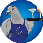 icon Aperitivi Europei Macerata()