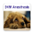 icon DVM Anesthesiology(Anestesiologia DVM) 2.34