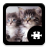 icon Cats & Kittens Puzzle(Cats Kitten Puzzle) 1.5.1