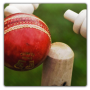 icon Chauka Cricket Scoring App