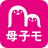 icon 2.6.5