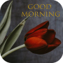icon Romantic Morning(Buongiorno Fiori Rose GIF
)